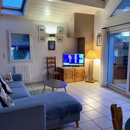Concise With Mezzanine Apartment